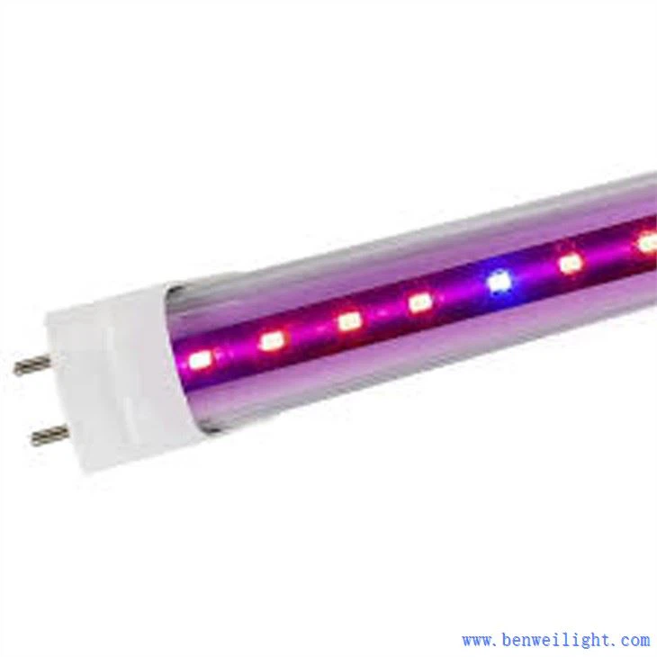 Grow Light és álljon