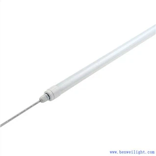 A csirkéknek UV fényre van szükségük