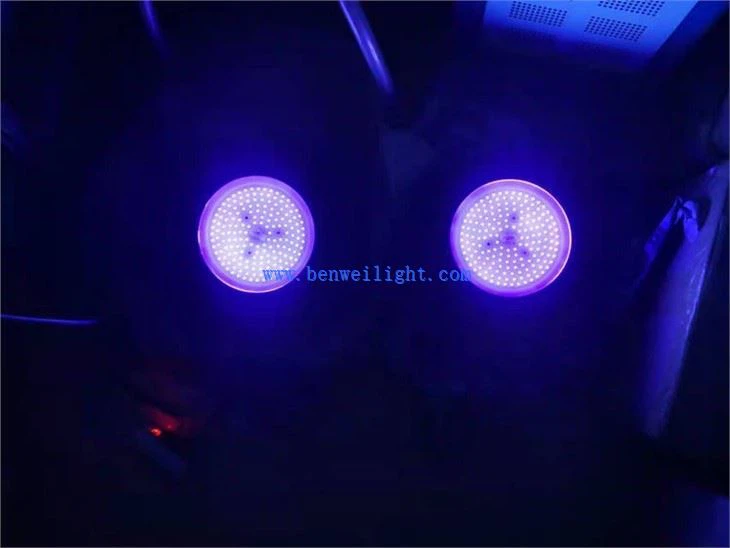 uv lamp for photochemical reaction (3)