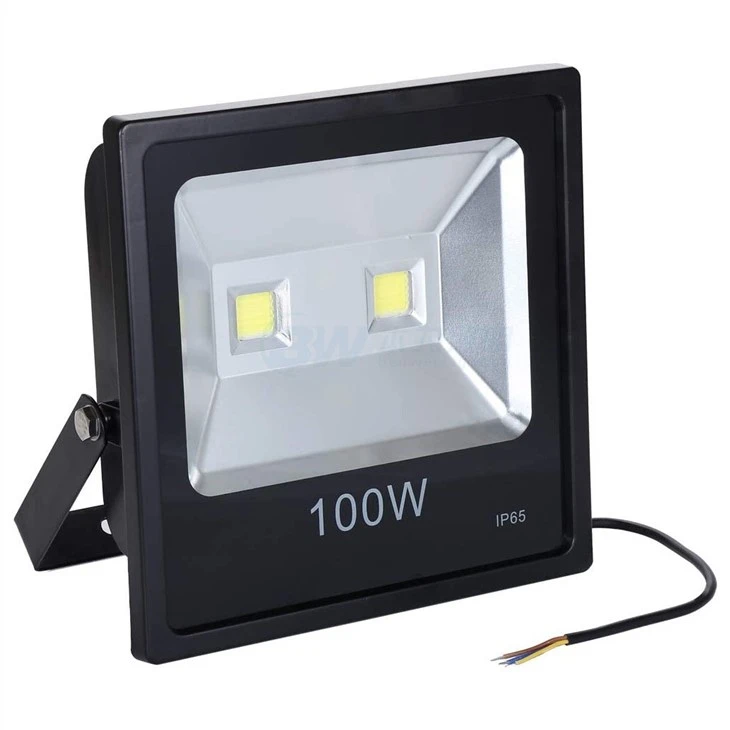 Collingwood Pir Floodlight