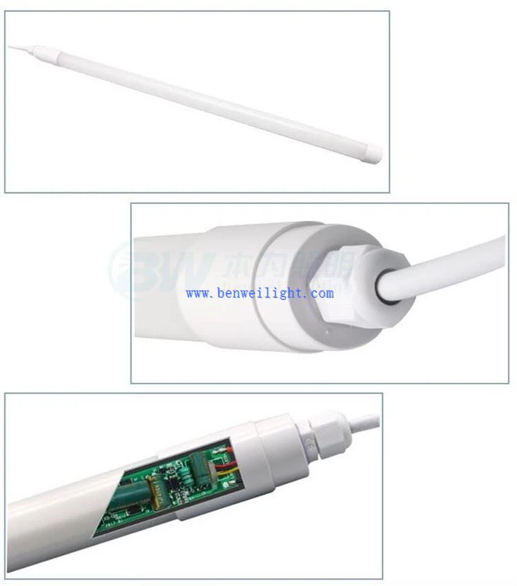 LED-es világítás a baromfitenyésztésben