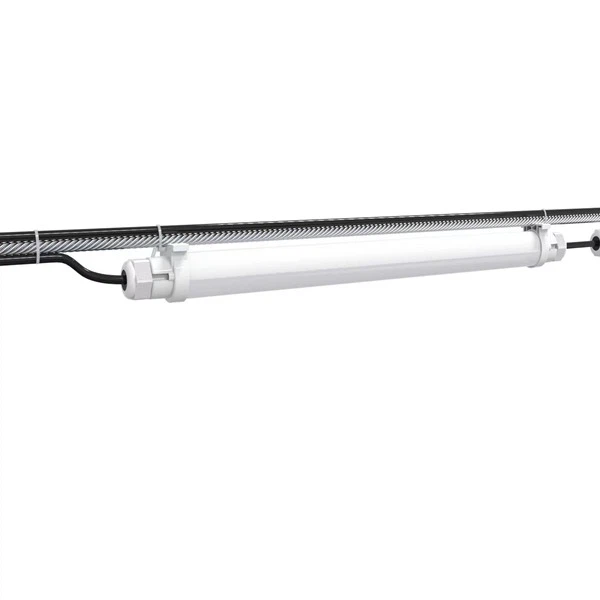 Mushrooom Growing Lighting