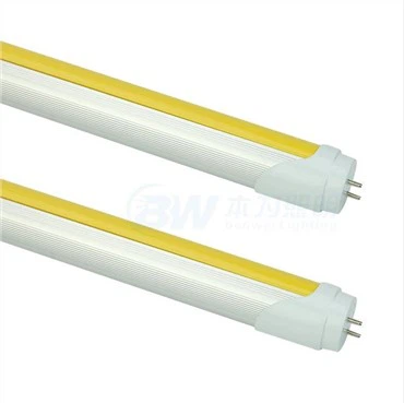 Golden Yellow Tube Light
