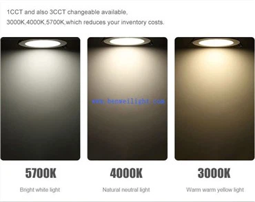 Led Downlights Bunnings