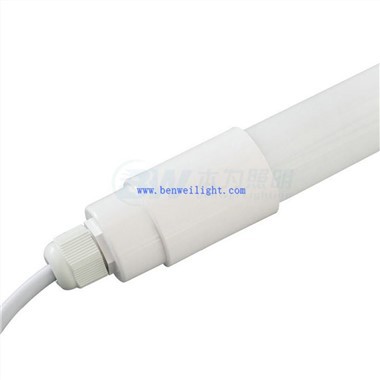 LED világítás lovaknak