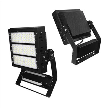 Pro Dunk Hoops Light