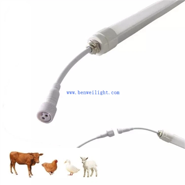 chicken coop led light (7)