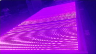 Ultraibolya LED Blacklight T8