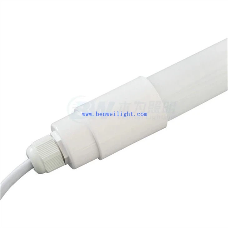 Dairy and poultry light (4)