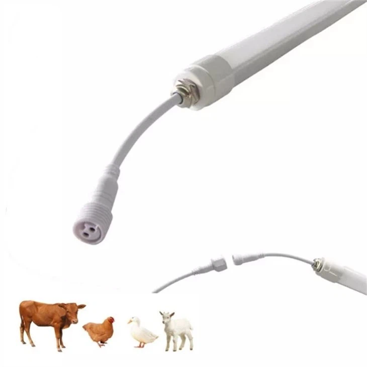 Dairy Farm LED lámpa