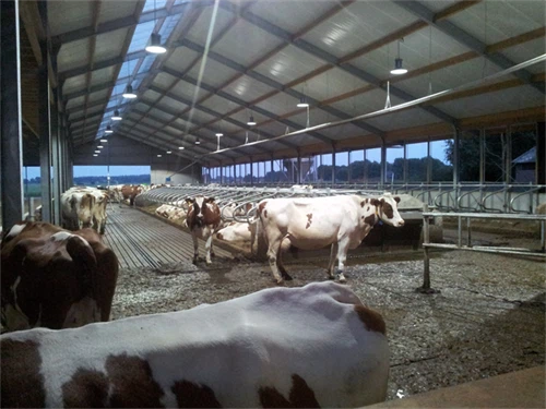 info-500-375 info-500-375