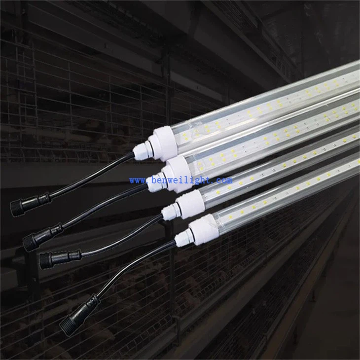 Poultry House Lamp (2)
