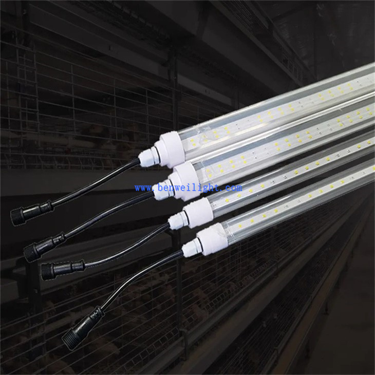 Poultry House Light (2)