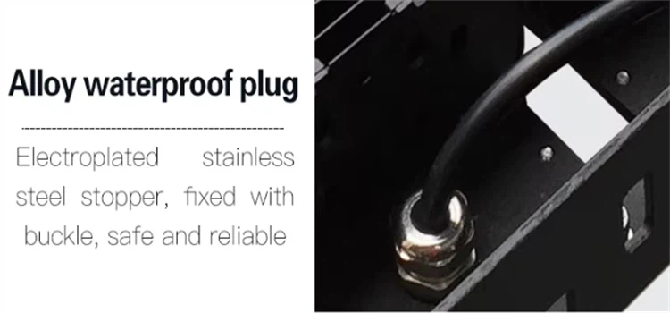 QQ20250603-113419 QQ20250603-113419