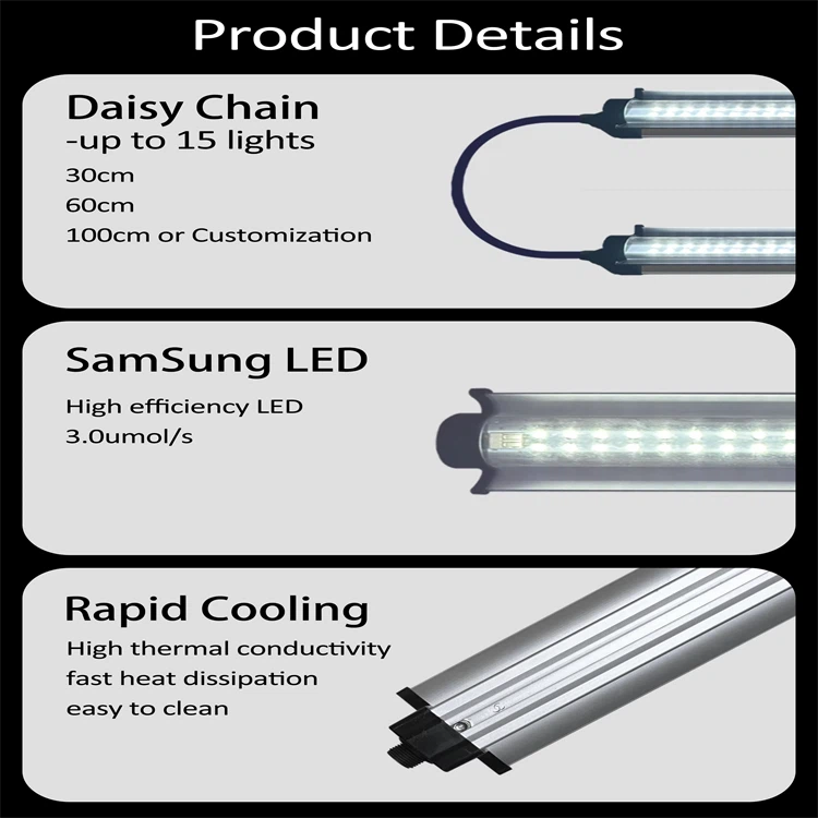 product-750-750 product-750-750