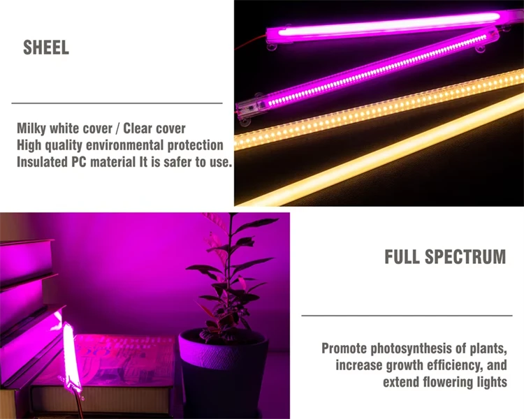product-750-600 product-750-600