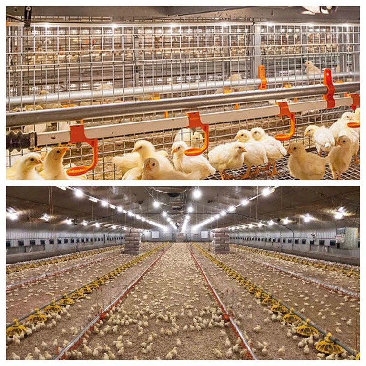 product-750-750 product-750-750