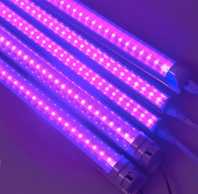 10W 60CM 395NM UV integrált T8 LED cső