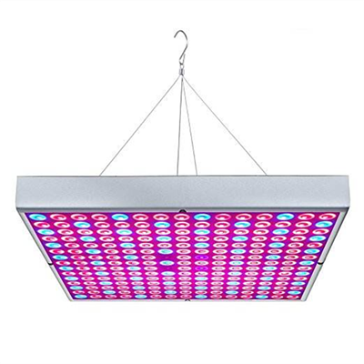 LED Grow Light - Teljes spektrumú négyzet alakú panelsorozat