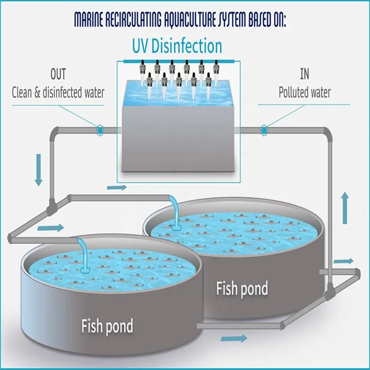 Submersible 254nm UVC Sterilizer For Pools & Fish Tanks suppliers