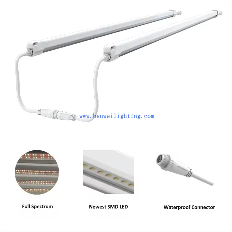 Plant lighting LED 9